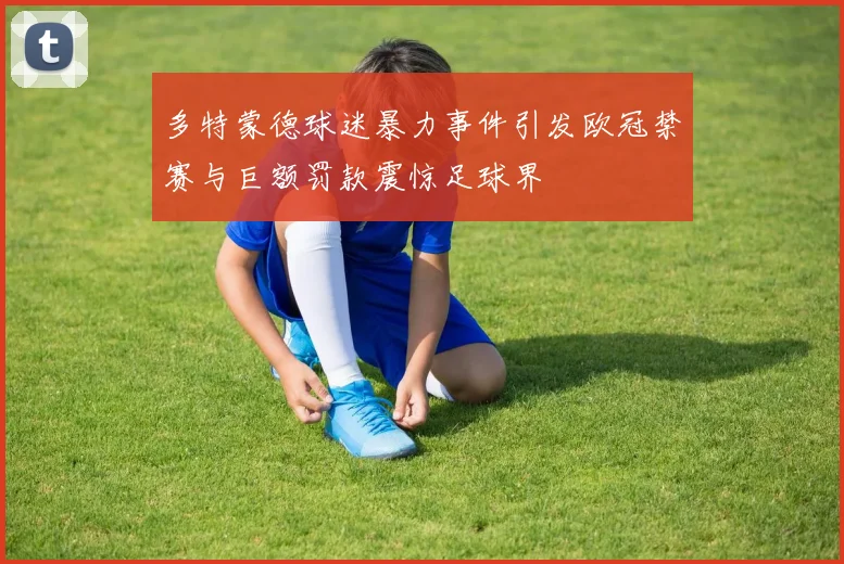 多特蒙德球迷暴力事件引发欧冠禁赛与巨额罚款震惊足球界