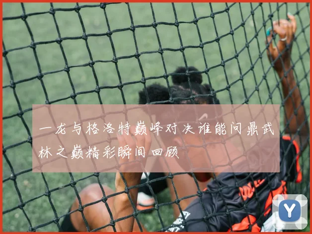 一龙与格洛特巅峰对决谁能问鼎武林之巅精彩瞬间回顾