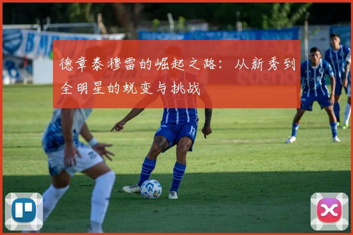 德章泰穆雷的崛起之路：从新秀到全明星的蜕变与挑战