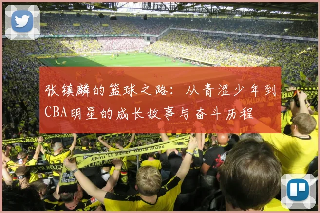 张镇麟的篮球之路：从青涩少年到CBA明星的成长故事与奋斗历程