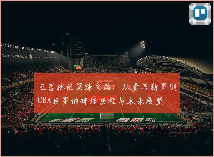王哲林的篮球之路：从青涩新星到CBA巨星的辉煌历程与未来展望